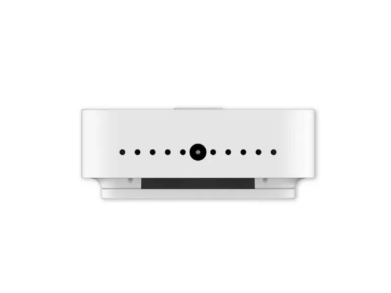 Milesight GS101-868M - Sensor de Gas Residencial - Imagen 3